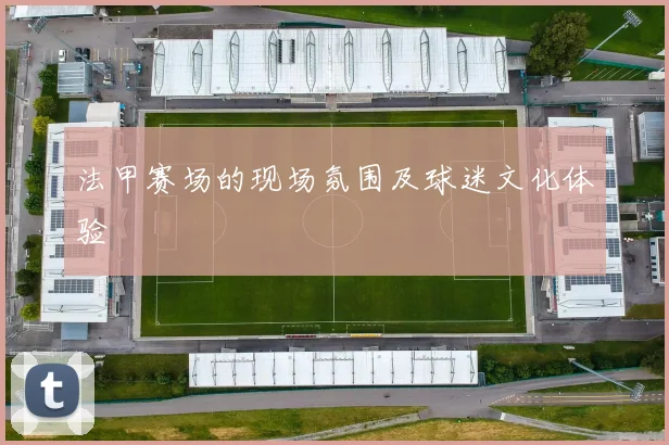 法甲赛场的现场氛围及球迷文化体验