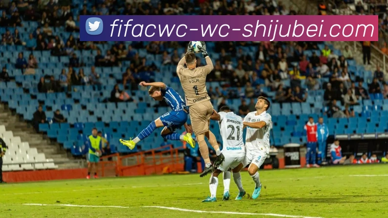 世界杯直播平台生态图